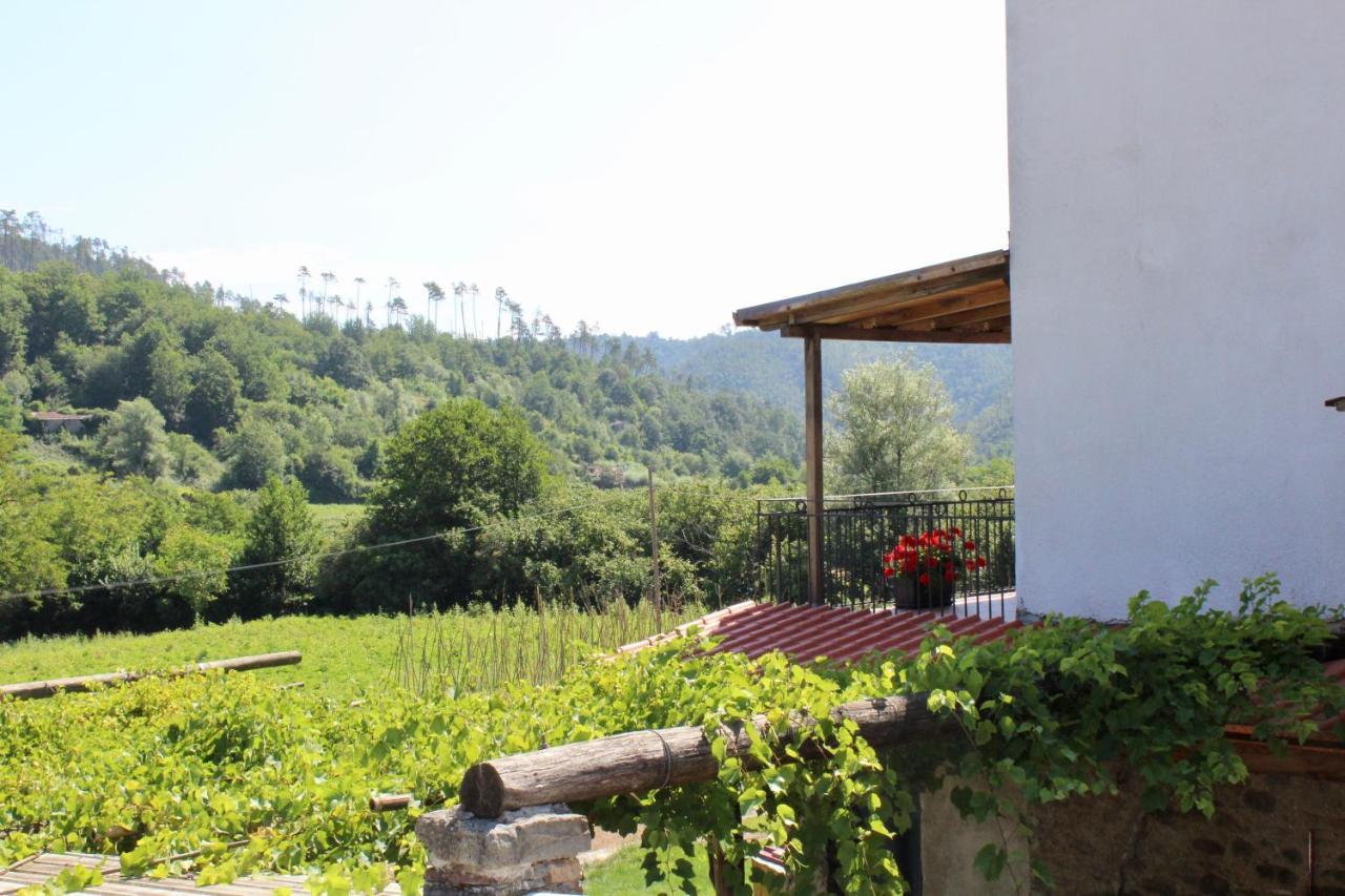 Agriturismo La Ferriera ปิโญเน ภายนอก รูปภาพ