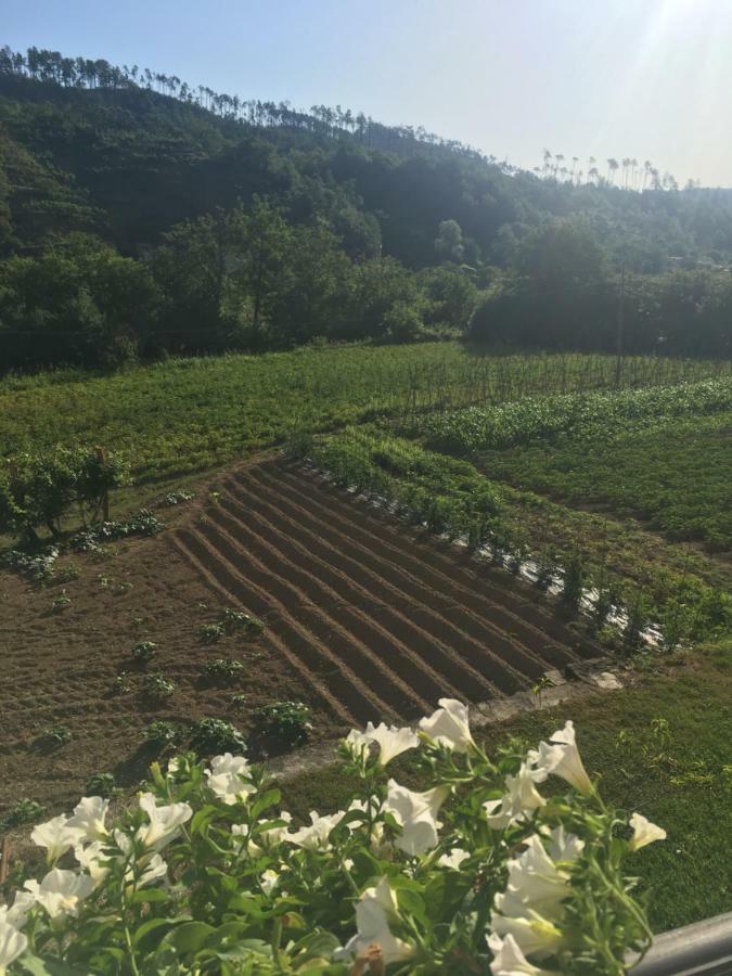 Agriturismo La Ferriera ปิโญเน ภายนอก รูปภาพ